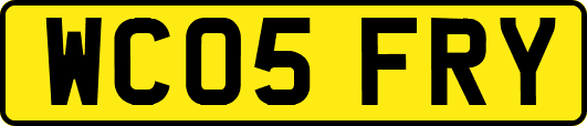 WC05FRY