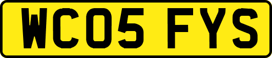 WC05FYS