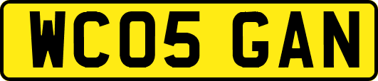 WC05GAN