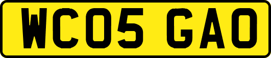 WC05GAO