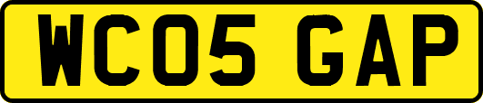 WC05GAP