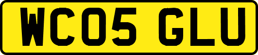 WC05GLU