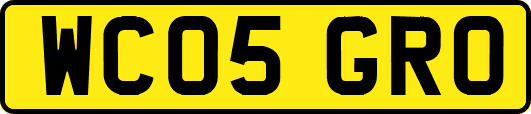 WC05GRO