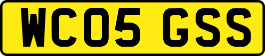 WC05GSS