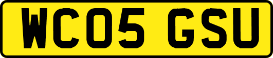 WC05GSU