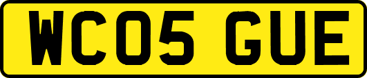 WC05GUE
