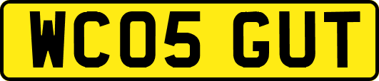WC05GUT