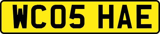 WC05HAE