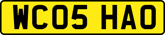WC05HAO