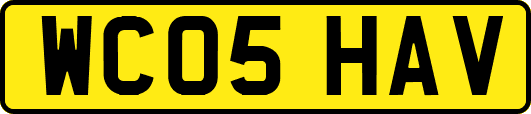 WC05HAV