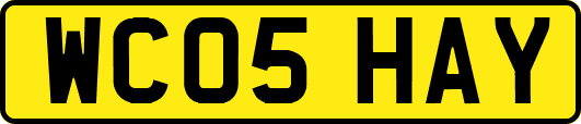 WC05HAY