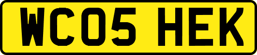 WC05HEK