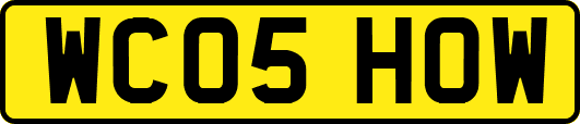 WC05HOW