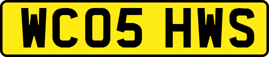 WC05HWS