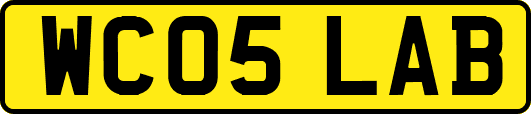 WC05LAB