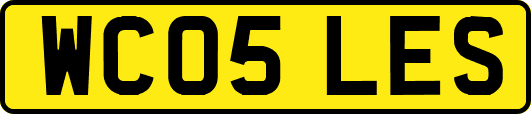 WC05LES