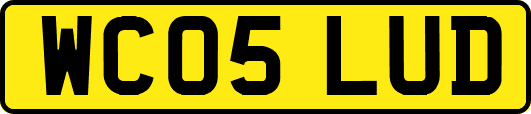 WC05LUD