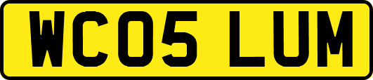 WC05LUM