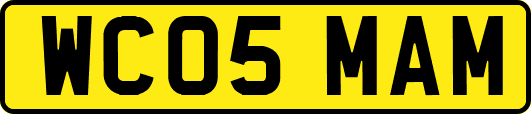 WC05MAM