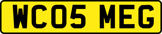 WC05MEG