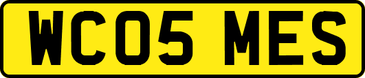 WC05MES