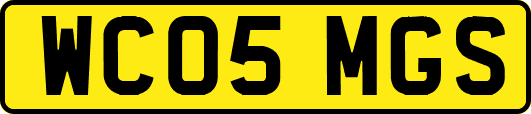 WC05MGS