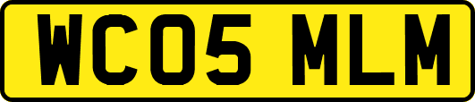 WC05MLM