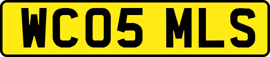 WC05MLS