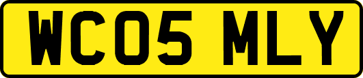 WC05MLY