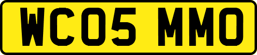 WC05MMO