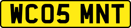 WC05MNT