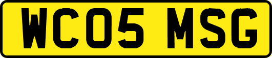 WC05MSG