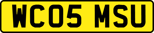 WC05MSU