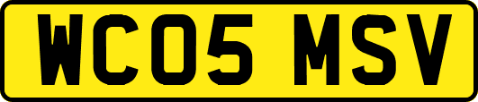 WC05MSV