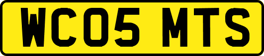 WC05MTS