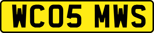 WC05MWS