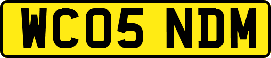 WC05NDM