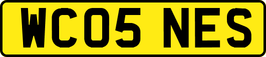 WC05NES