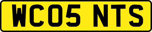 WC05NTS