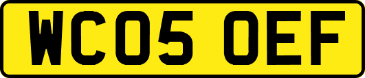 WC05OEF