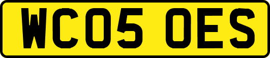 WC05OES