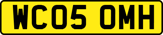 WC05OMH