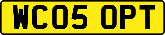 WC05OPT