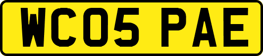 WC05PAE