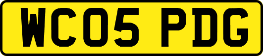 WC05PDG