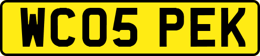WC05PEK