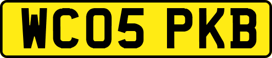 WC05PKB