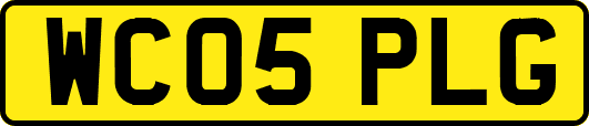 WC05PLG