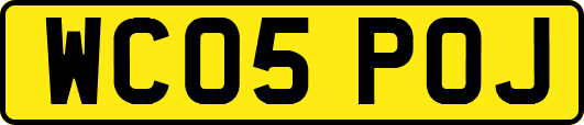 WC05POJ