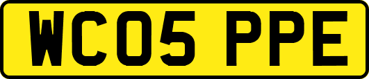 WC05PPE